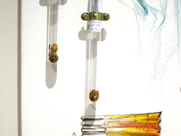 Million dollars point - study